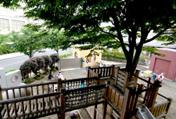 屋外遊具とシンボルツリー