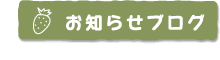 お知らせブログ