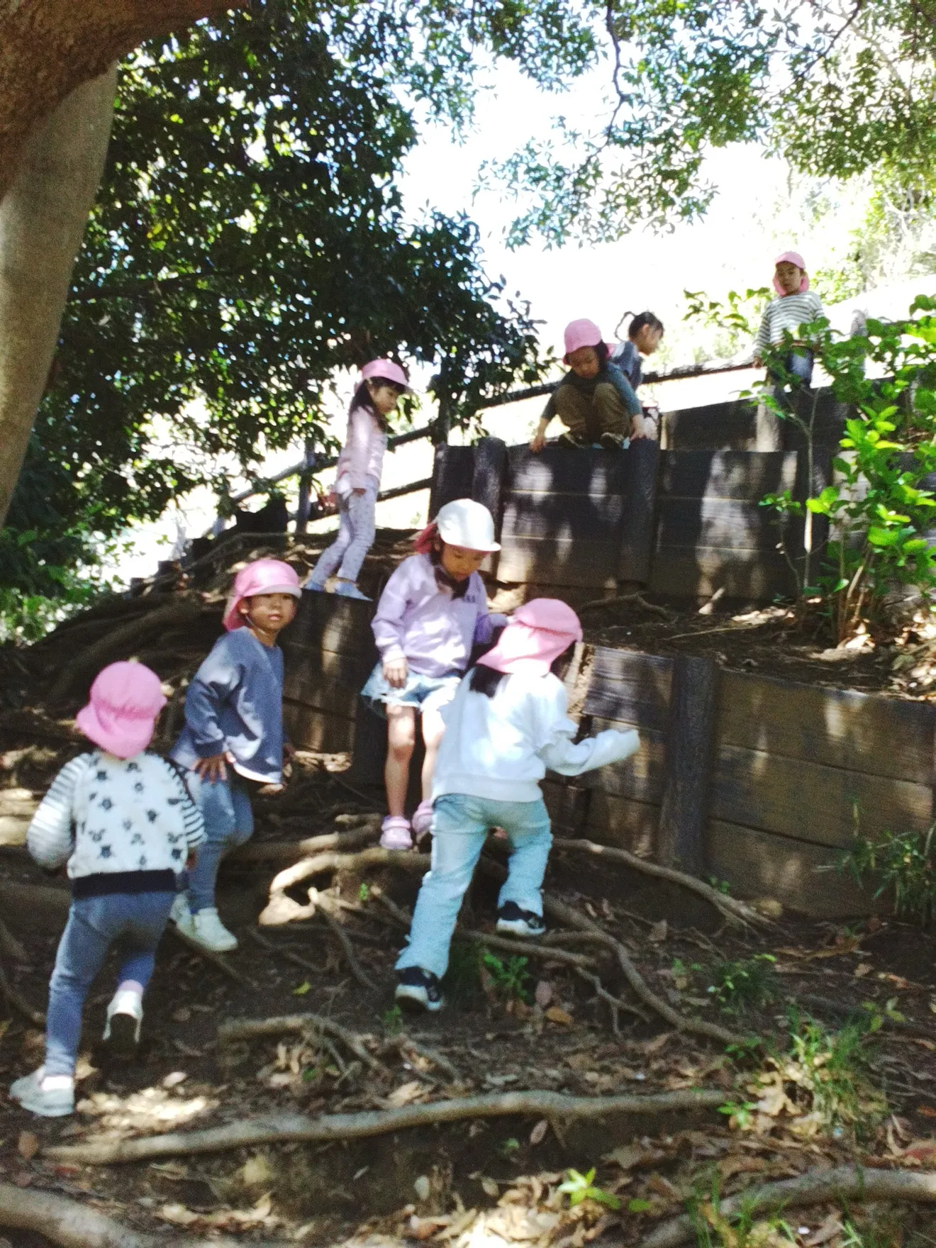 公園でがけ登り