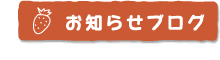 お知らせブログ
